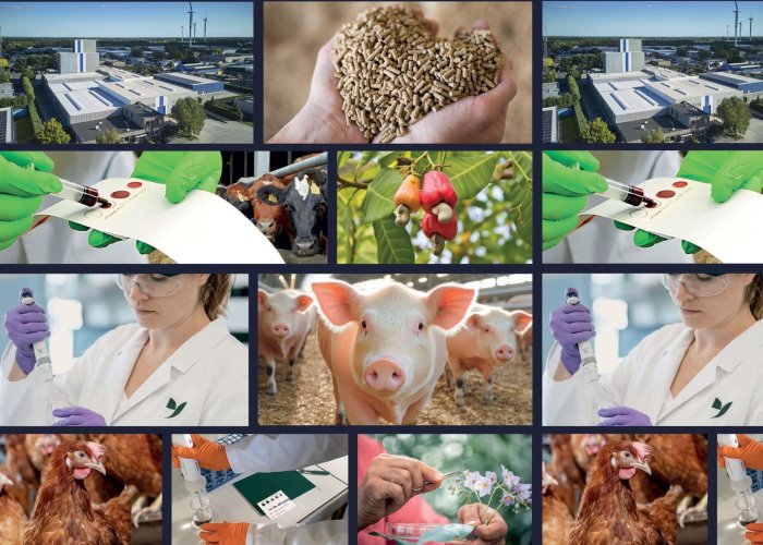 Oligo Basics Innovad.group leva alta tecnologia nutricional ao Alimenta 2025